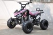 125cc New Color Pattern