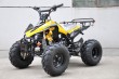 3+1 Loncin Engine, 8 Inch Tyre & Rear Rack