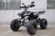 200cc Shineray Raptor with 10