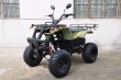 200cc Lifan 4+1 Engine Warrior,Fat 8