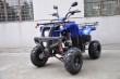 250cc Warrior